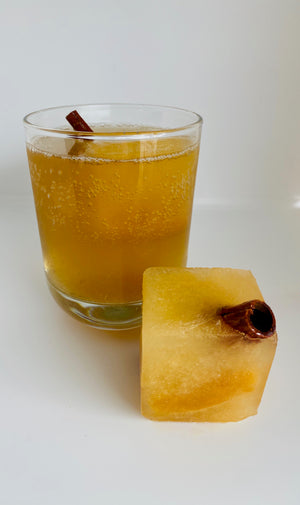 Caramel Apple Cider with Cinnamon Stick Garnish